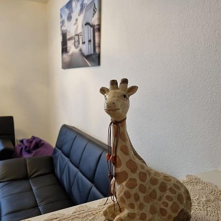Monteurwohnung App 5 Pirmasens Zewnętrze zdjęcie